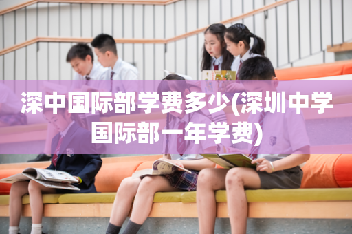 深中国际部学费多少(深圳中学国际部一年学费)