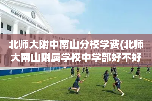 北师大附中南山分校学费(北师大南山附属学校中学部好不好)