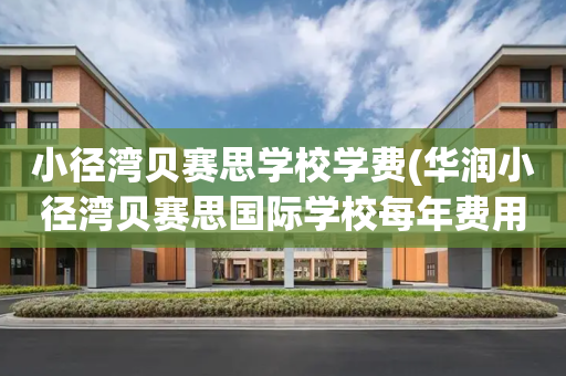 小径湾贝赛思学校学费(华润小径湾贝赛思国际学校每年费用)