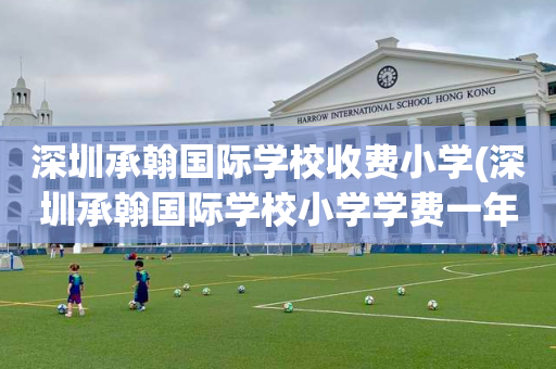 深圳承翰国际学校收费小学(深圳承翰国际学校小学学费一年多少)