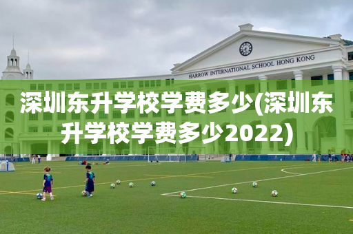 深圳东升学校学费多少(深圳东升学校学费多少2022)