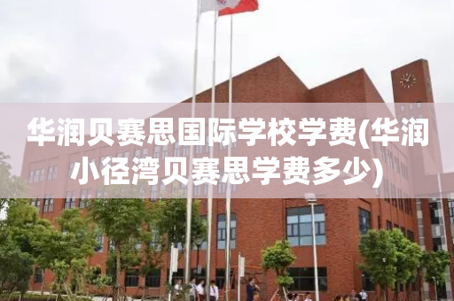 华润贝赛思国际学校学费(华润小径湾贝赛思学费多少)