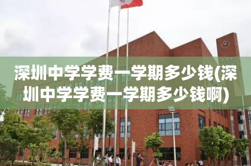 深圳中学学费一学期多少钱(深圳中学学费一学期多少钱啊)