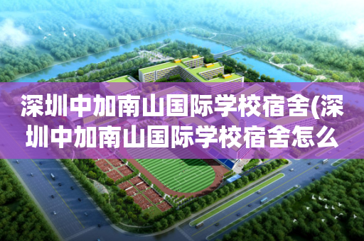 深圳中加南山国际学校宿舍(深圳中加南山国际学校宿舍怎么样)
