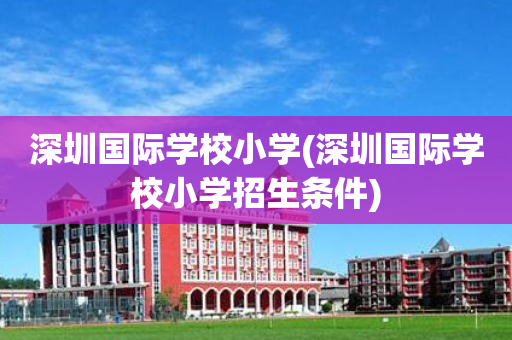 深圳国际学校小学(深圳国际学校小学招生条件)