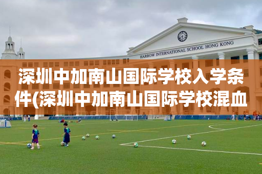 深圳中加南山国际学校入学条件(深圳中加南山国际学校混血小正太)