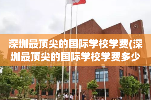 深圳最顶尖的国际学校学费(深圳最顶尖的国际学校学费多少钱)
