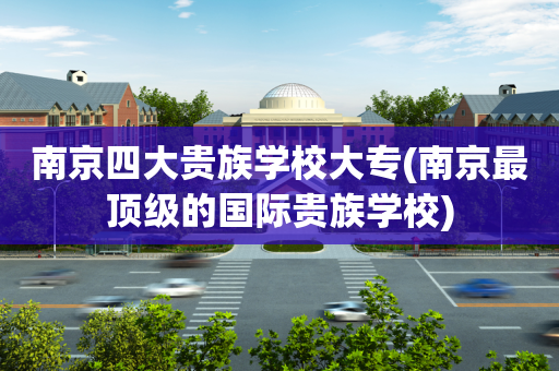 南京四大贵族学校大专(南京最顶级的国际贵族学校)