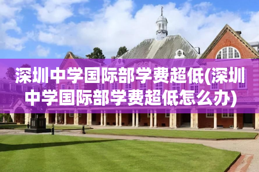 深圳中学国际部学费超低(深圳中学国际部学费超低怎么办)