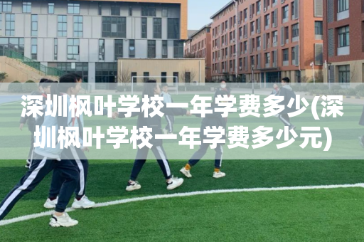 深圳枫叶学校一年学费多少(深圳枫叶学校一年学费多少元)