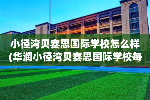 小径湾贝赛思国际学校怎么样(华润小径湾贝赛思国际学校每年费用)