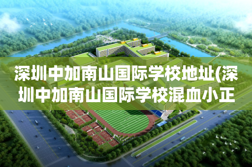 深圳中加南山国际学校地址(深圳中加南山国际学校混血小正太)