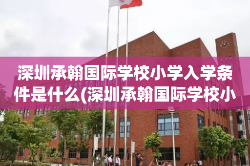 深圳承翰国际学校小学入学条件是什么(深圳承翰国际学校小学入学条件是什么样的)