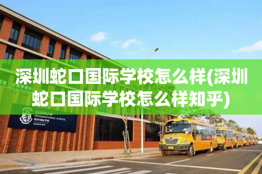 深圳蛇口国际学校怎么样(深圳蛇口国际学校怎么样知乎)