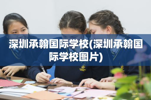 深圳承翰国际学校(深圳承翰国际学校图片)