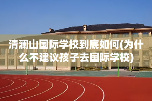 清澜山国际学校到底如何(为什么不建议孩子去国际学校)