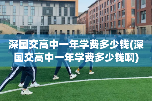 深国交高中一年学费多少钱(深国交高中一年学费多少钱啊)