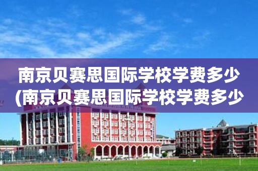 南京贝赛思国际学校学费多少(南京贝赛思国际学校学费多少一年)