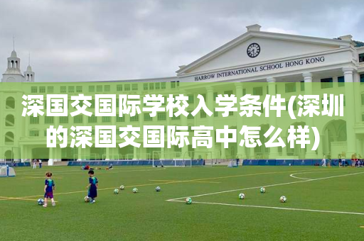 深国交国际学校入学条件(深圳的深国交国际高中怎么样)