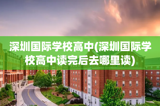 深圳国际学校高中(深圳国际学校高中读完后去哪里读)