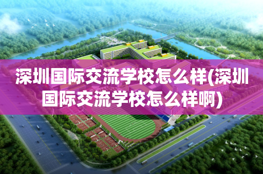 深圳国际交流学校怎么样(深圳国际交流学校怎么样啊)