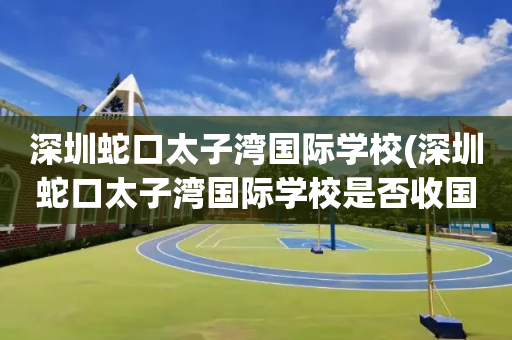 深圳蛇口太子湾国际学校(深圳蛇口太子湾国际学校是否收国际学生)