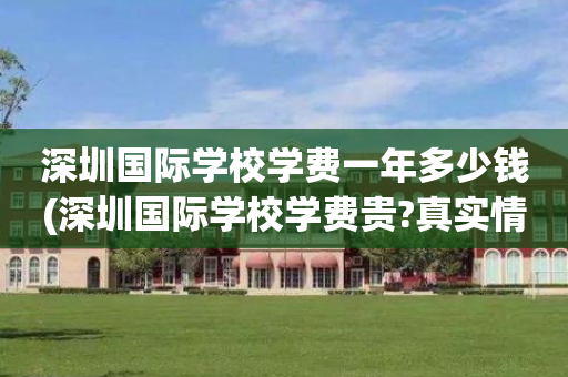 深圳国际学校学费一年多少钱(深圳国际学校学费贵?真实情况是这样!)