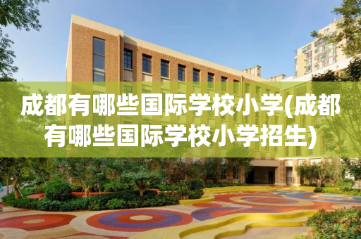 成都有哪些国际学校小学(成都有哪些国际学校小学招生)