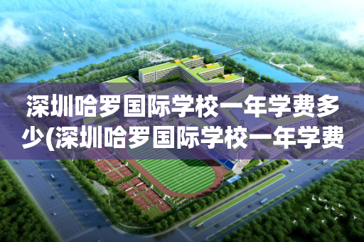 深圳哈罗国际学校一年学费多少(深圳哈罗国际学校一年学费多少钱)