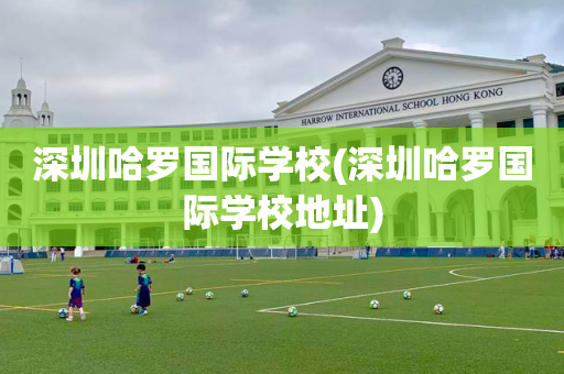 深圳哈罗国际学校(深圳哈罗国际学校地址)