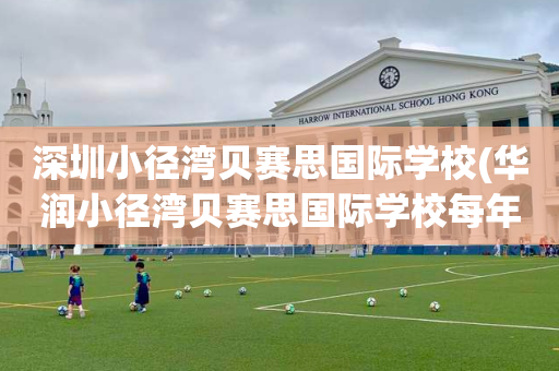 深圳小径湾贝赛思国际学校(华润小径湾贝赛思国际学校每年费用)