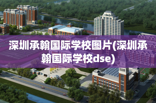 深圳承翰国际学校图片(深圳承翰国际学校dse)