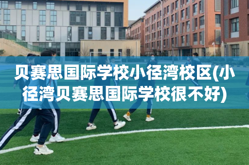 贝赛思国际学校小径湾校区(小径湾贝赛思国际学校很不好)