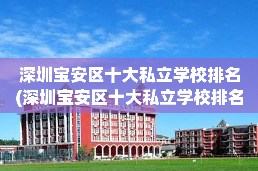深圳宝安区十大私立学校排名(深圳宝安区十大私立学校排名一览表)