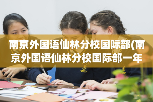 南京外国语仙林分校国际部(南京外国语仙林分校国际部一年学费多少)