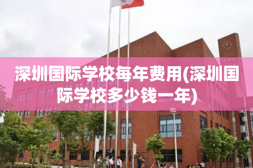 深圳国际学校每年费用(深圳国际学校多少钱一年)