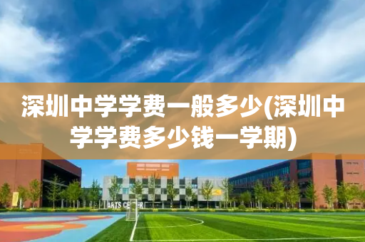 深圳中学学费一般多少(深圳中学学费多少钱一学期)