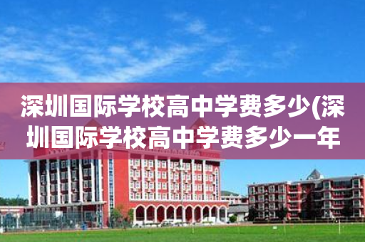 深圳国际学校高中学费多少(深圳国际学校高中学费多少一年)