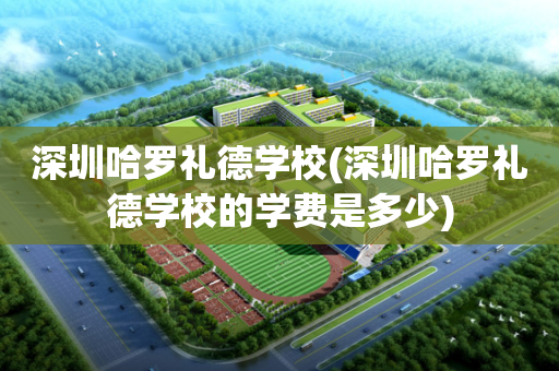 深圳哈罗礼德学校(深圳哈罗礼德学校的学费是多少)