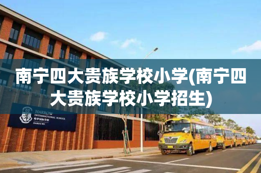 南宁四大贵族学校小学(南宁四大贵族学校小学招生)