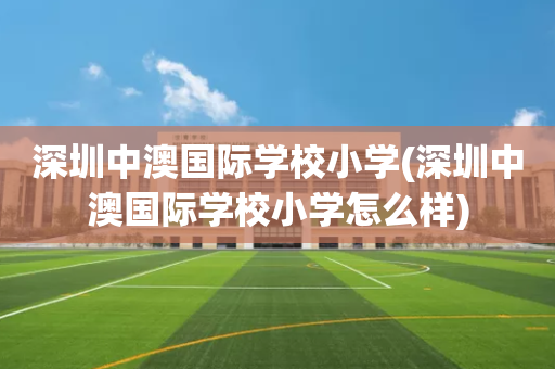 深圳中澳国际学校小学(深圳中澳国际学校小学怎么样)