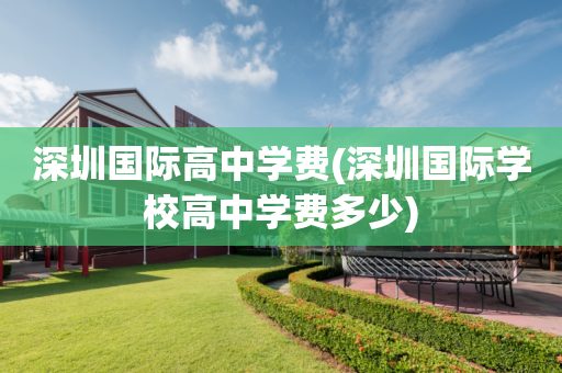 深圳国际高中学费(深圳国际学校高中学费多少)