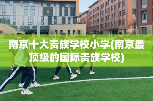 南京十大贵族学校小学(南京最顶级的国际贵族学校)