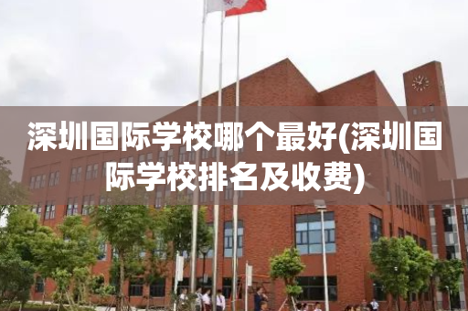 深圳国际学校哪个最好(深圳国际学校排名及收费)