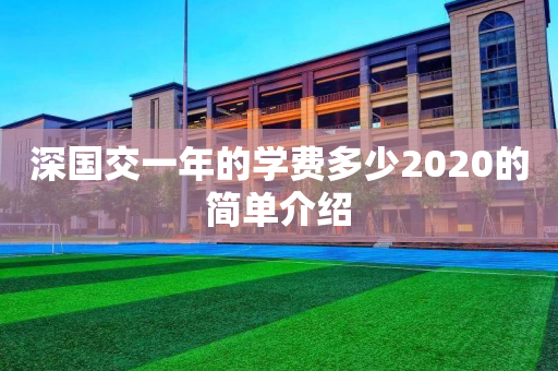 深国交一年的学费多少2020的简单介绍