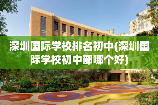 深圳国际学校排名初中(深圳国际学校初中部哪个好)