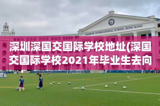 深圳深国交国际学校地址(深国交国际学校2021年毕业生去向)