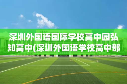 深圳外国语国际学校高中园弘知高中(深圳外国语学校高中部是公立还是私立学校)