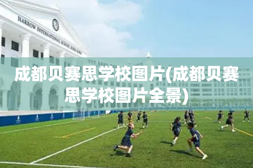 成都贝赛思学校图片(成都贝赛思学校图片全景)