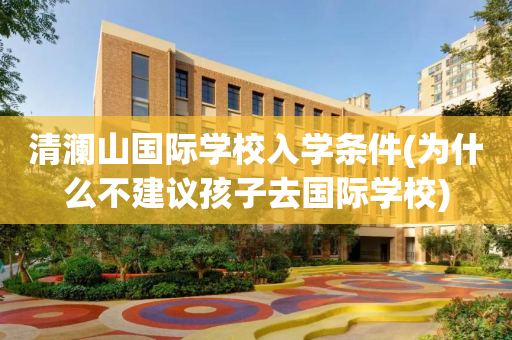 清澜山国际学校入学条件(为什么不建议孩子去国际学校)